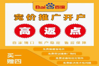 某电商平台的SEM营销推广实战经验